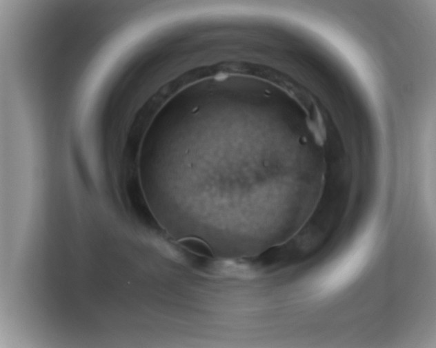 X0000113990239200910091344