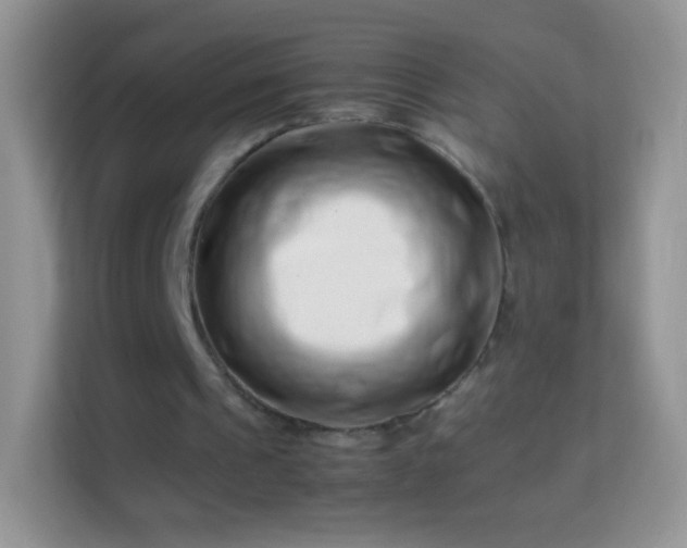 X0000113990241200910091344