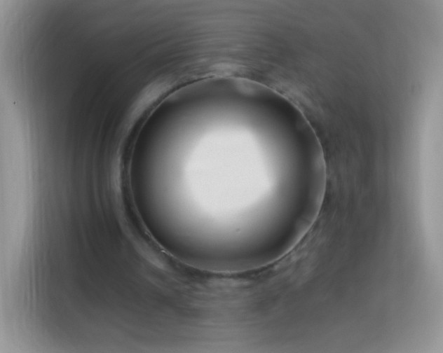 X0000113990242200910091344