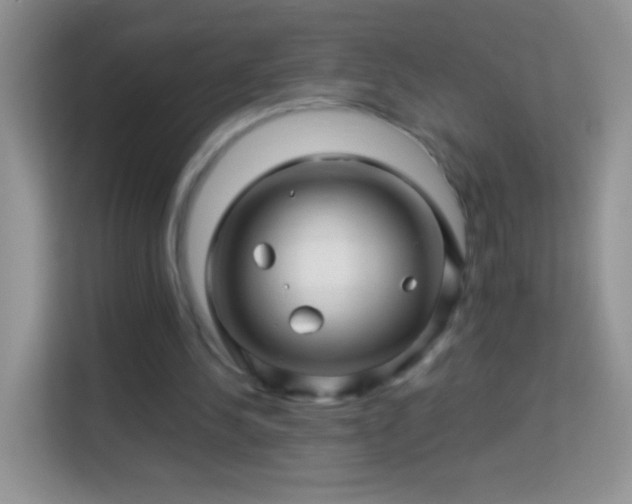 X0000113990244200910091344