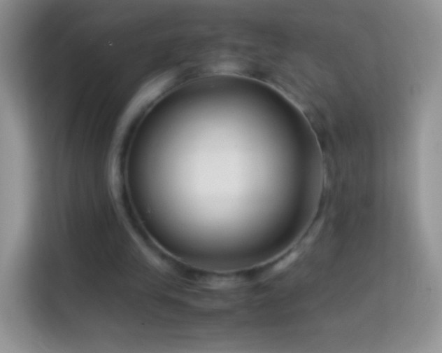 X0000113990245200910091344