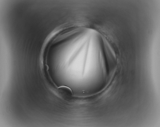 X0000113990246200910091344