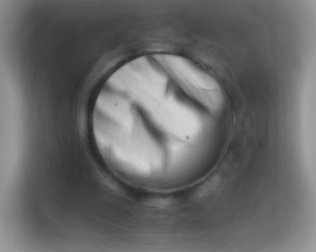 X0000113990247200910091344