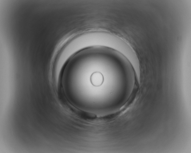 X0000113990248200910091344