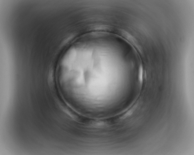 X0000113990249200910091344