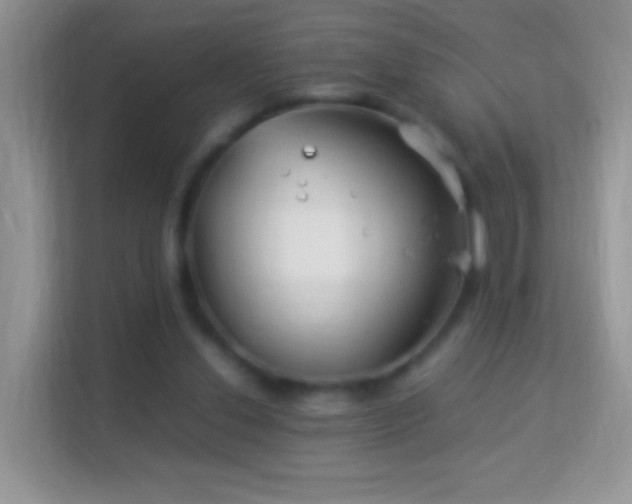 X0000113990252200910091344