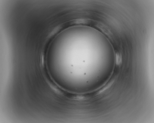 X0000113990253200910091344