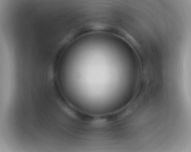 X0000113990257200910091344