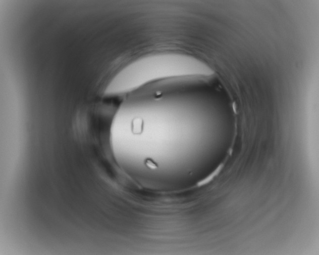 X0000113990260200910091344