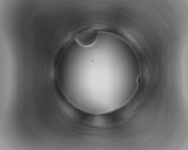 X0000113990261200910091344