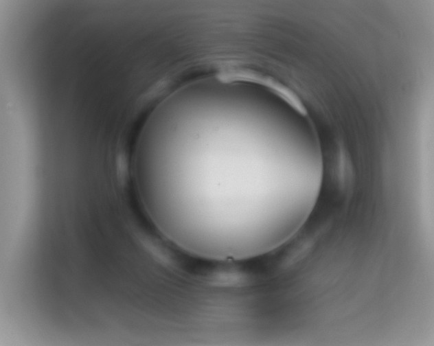 X0000113990262200910091344