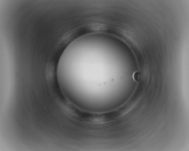 X0000113990263200910091344