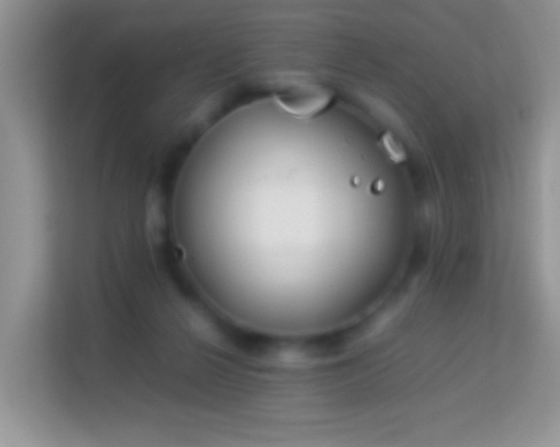 X0000113990264200910091344