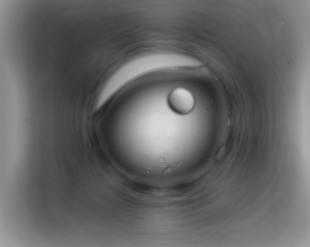 X0000113990268200910091344