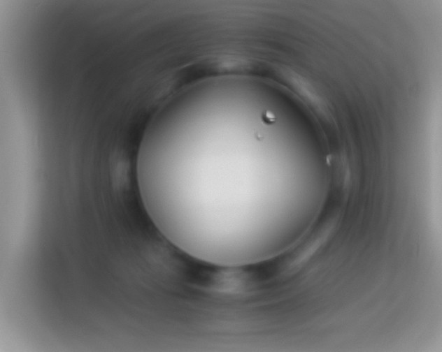 X0000113990269200910091344