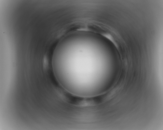 X0000113990270200910091344