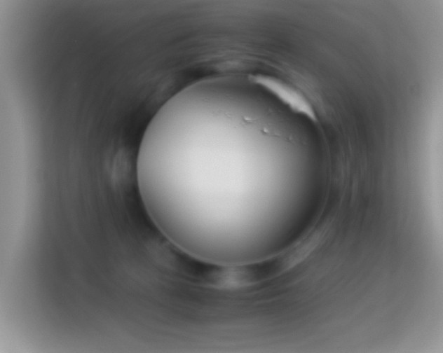 X0000113990273200910091344