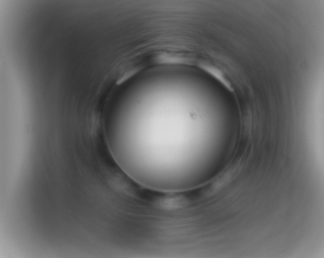 X0000113990278200910091344