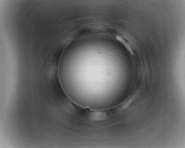 X0000113990281200910091344