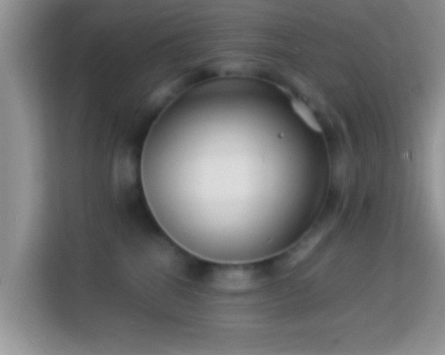 X0000113990282200910091344