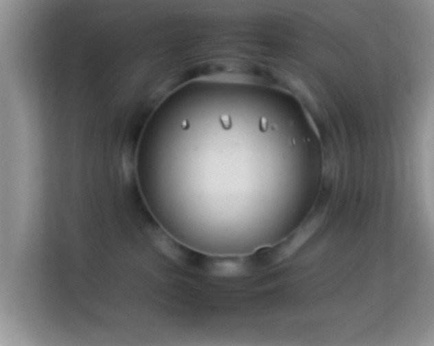 X0000113990285200910091344