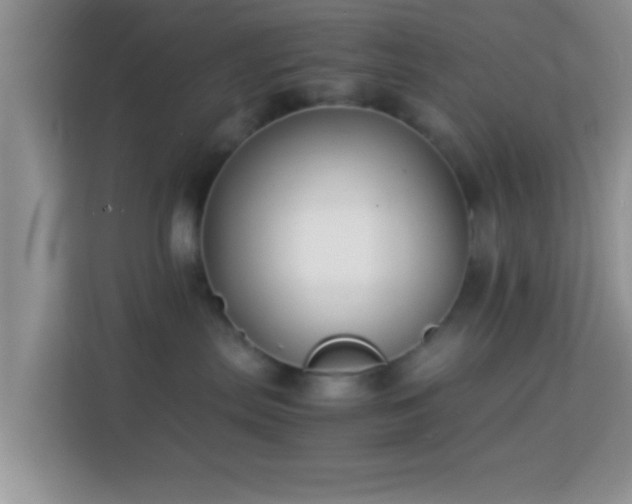 X0000113990287200910091344