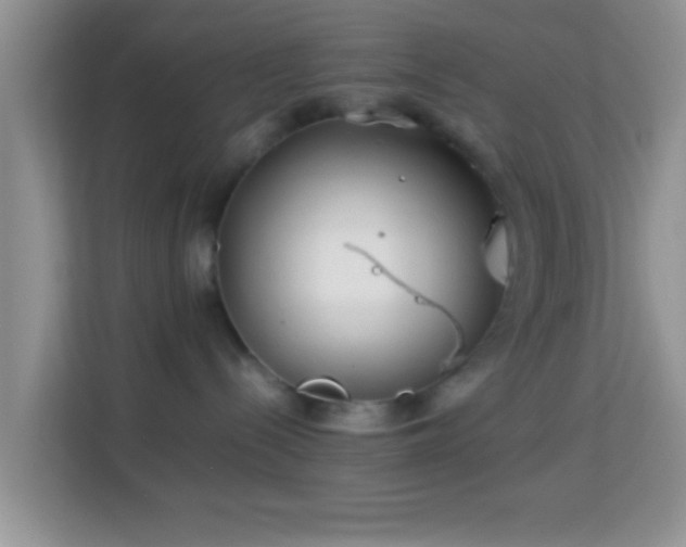 X0000113990288200910091344