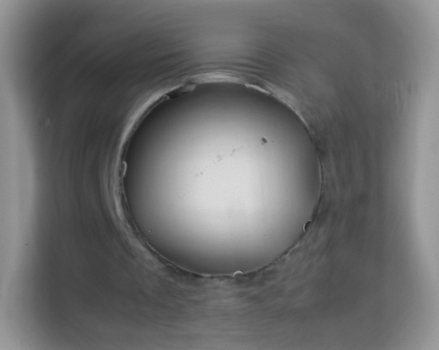 X0000113990289200910091344