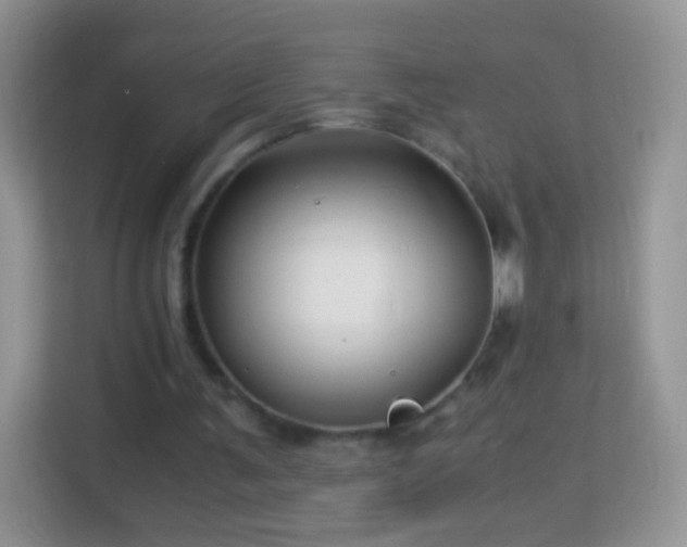 X0000113990291200910091344