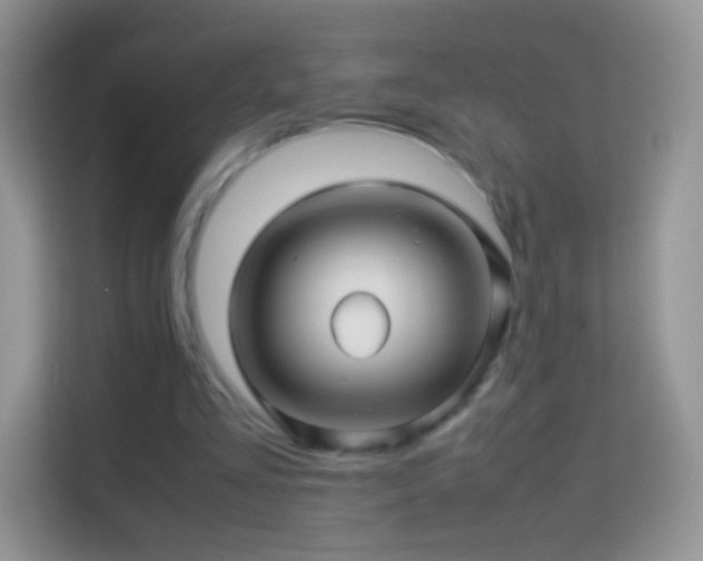 X0000113990293200910091344