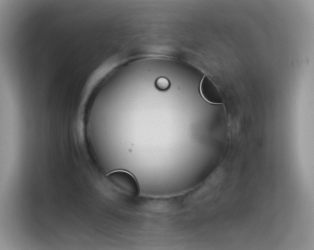 X0000113990294200910091344