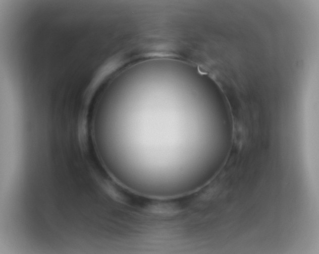 X0000113990296200910091344