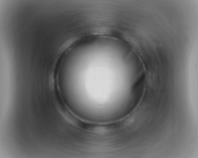 X0000113990298200910091344