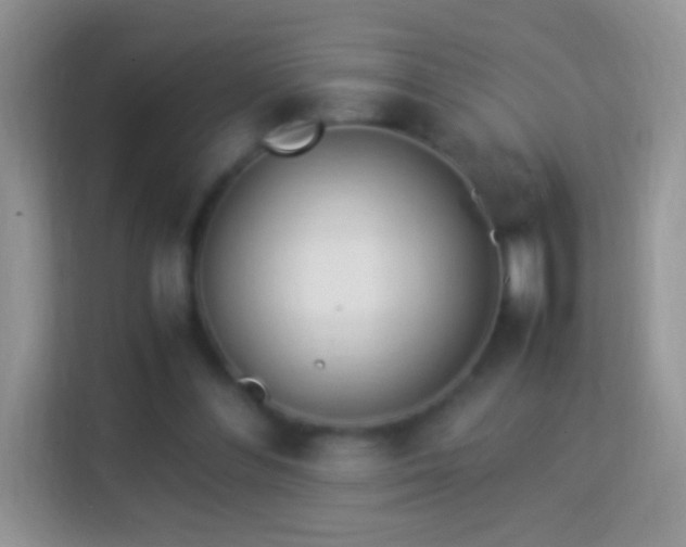 X0000113990300200910091344