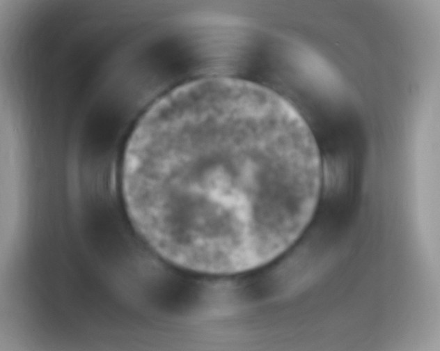 X0000113990301200910091344