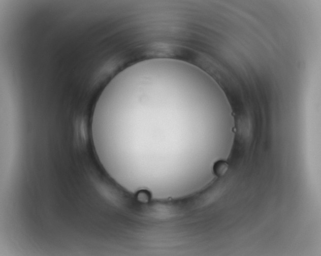 X0000113990302200910091344