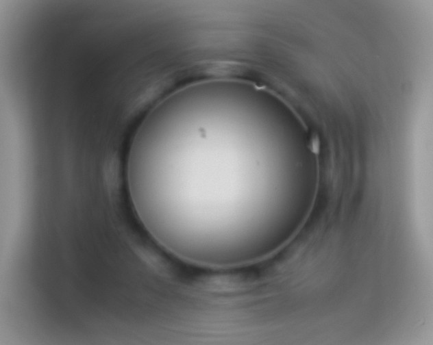 X0000113990303200910091344