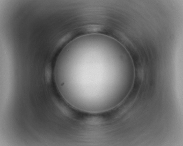 X0000113990304200910091343