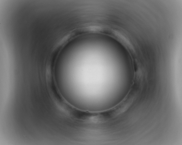 X0000113990306200910091343