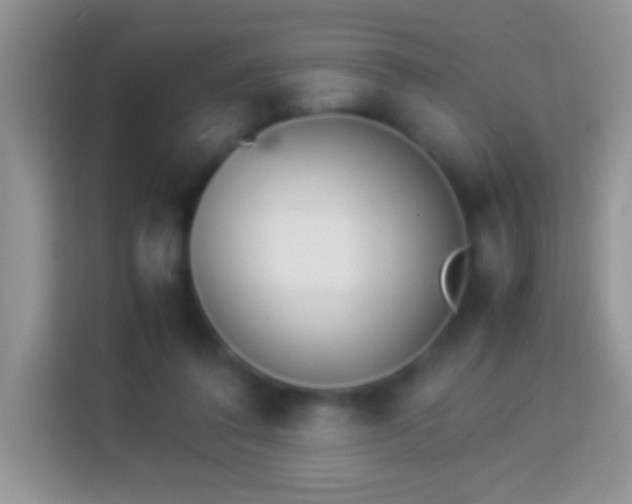 X0000113990308200910091343