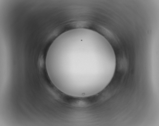 X0000113990310200910091343