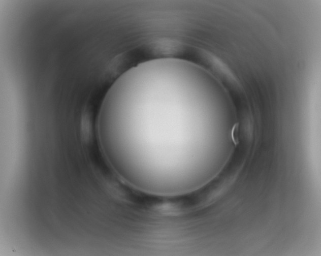 X0000113990312200910091343