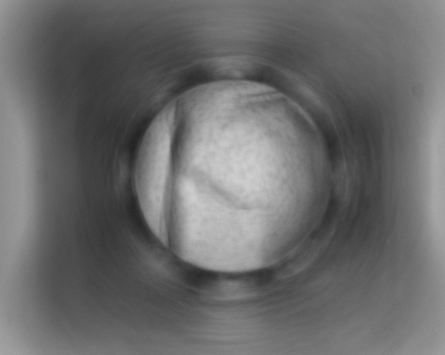 X0000113990314200910091343