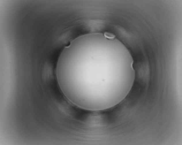 X0000113990316200910091343