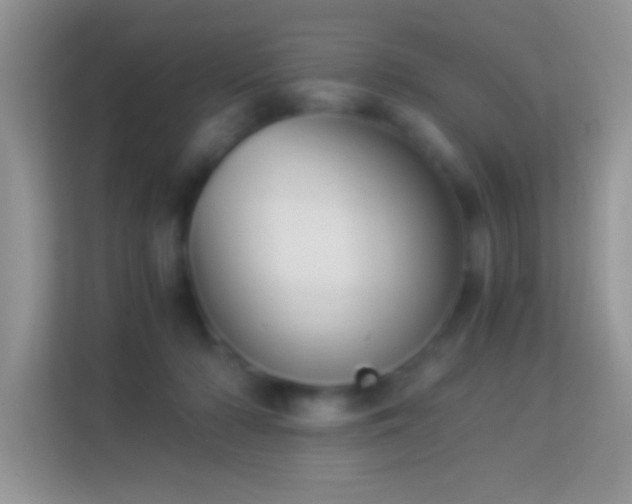 X0000113990318200910091343