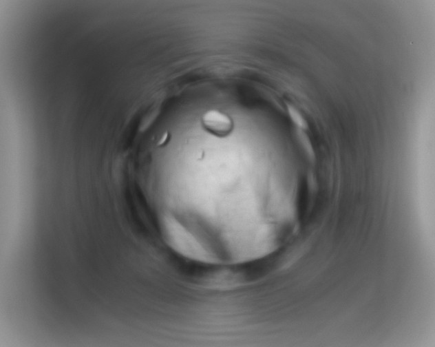 X0000113990319200910091343