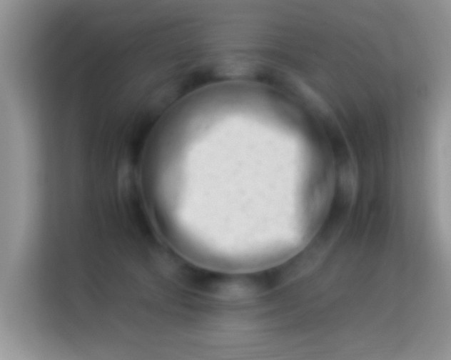 X0000113990322200910091343