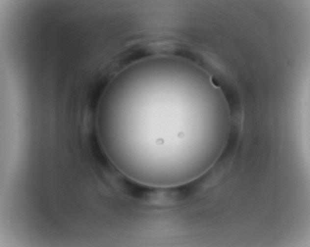 X0000113990323200910091343