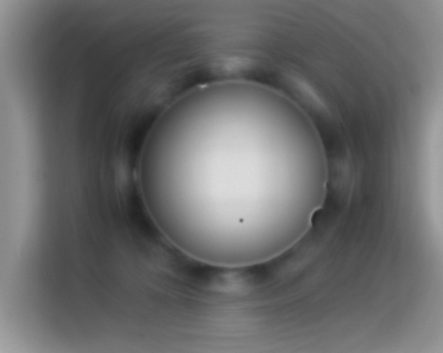 X0000113990324200910091343