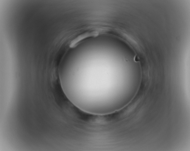 X0000113990325200910091343